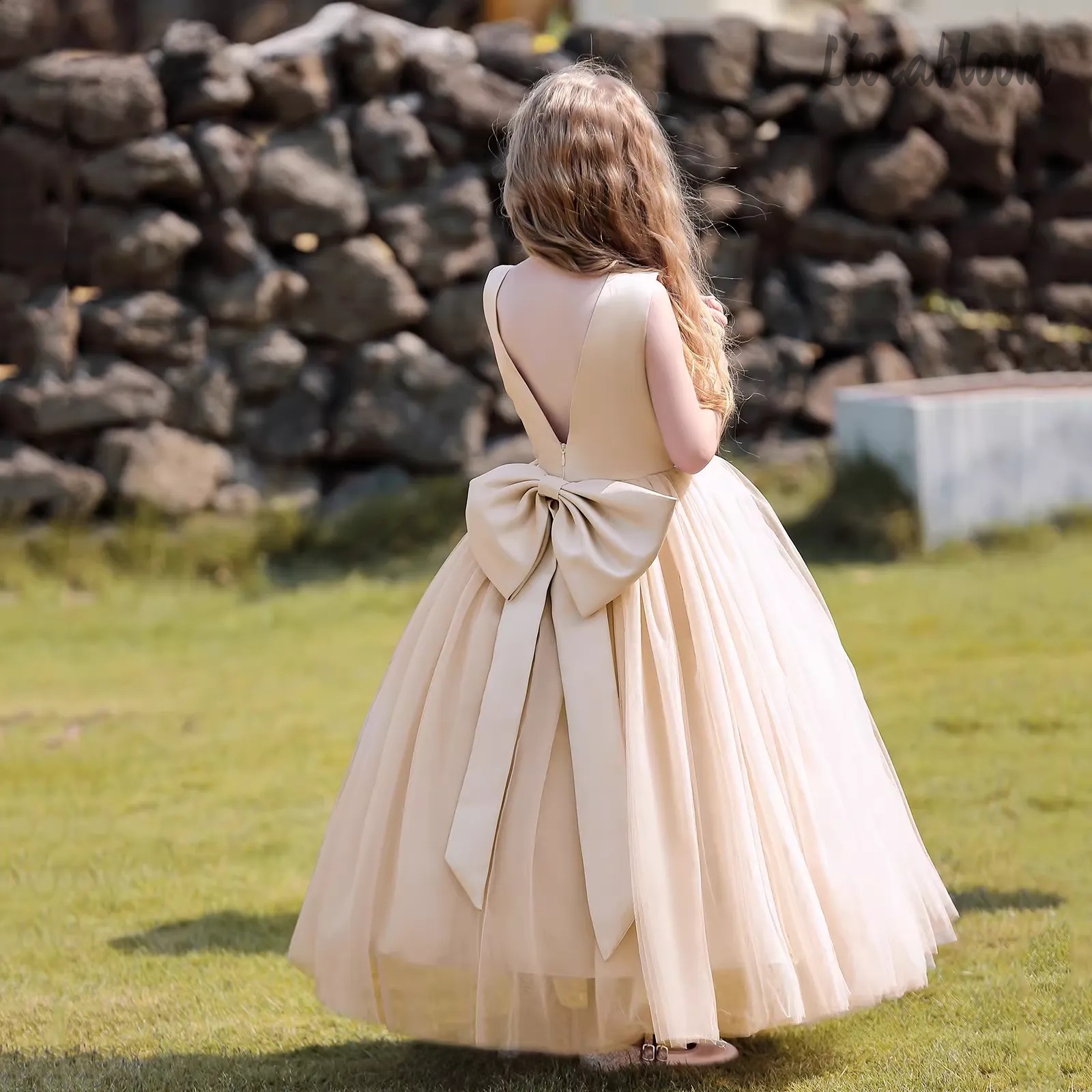 Multicolor Backless Princess D - Women'S Formal Wear For A Wedding บทวิจารณ์และราคา